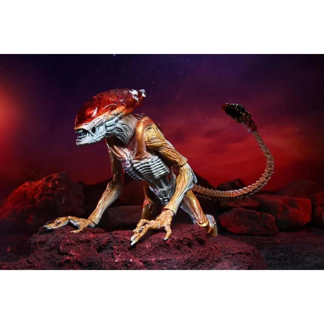 Aliens Kenner Tribute Ultimate Panther Alien 7 Action Figure by NECA