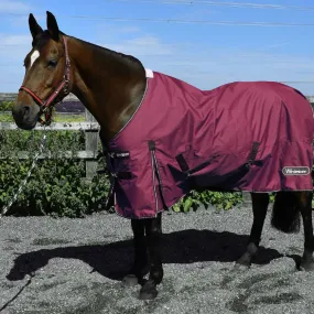 John Whitaker Thistle 100g Turnout Rug